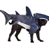 sharknet0 için avatar