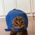 Kiobz 的头像