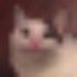 baguette_ 的头像