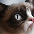 Avatar for Fluffysauruss