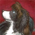Avatar for Perri_Rhoades
