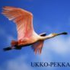 Ukko-Pekka için avatar