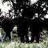 топ групп doom metal. Смотреть фото топ групп doom metal. Смотреть картинку топ групп doom metal. Картинка про топ групп doom metal. Фото топ групп doom metal