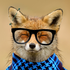 vulpeko için avatar