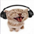 Avatar for karlheisenberg