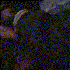 Avatar for Rudies Flacko
