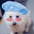 Avatar for promise_mm