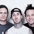 blink-182 的头像