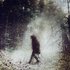 Avatar for Wolves in the Throne Room