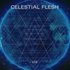 Celestial Flesh için avatar