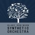 The Blake Robinson Synthetic Orchestra のアバター