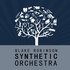 The Blake Robinson Synthetic Orchestra 的头像