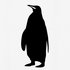 Avatar for The Black Penguins