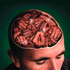 Avatar for Freebraid