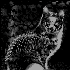 Avatar for Vancelot