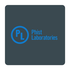 Phistlabs için avatar
