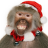 GoodBaboon 的头像