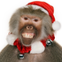 Avatar for GoodBaboon