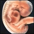 Avatar for KaliMaShaktiDe
