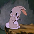 Avatar di riveroforchids