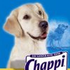 Chaparrastique 的头像