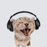 Avatar di deivis_7