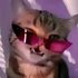 Kaeskii için avatar
