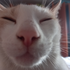 Avatar di maxxye
