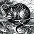 Avatar di El-Gato-Felix