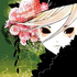 Avatar di whenthebruhis