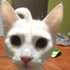 Avatar de mersaythis