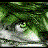Avatar für makowiec777