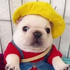 Avatar for farmerpibble