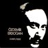 Ozdemir Erdogan ve Orkestrasi 的头像