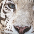 Avatar for jkgirI