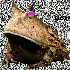 Avatar for lancebramsay