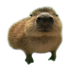 C0nnerist için avatar