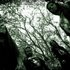 Drowned in Blood 的头像