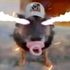 Avatar for tuwh