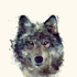 Avatar di LoneWolf_fm