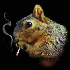 muffinnismo için avatar