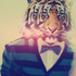 Avatar for daviddacosta411