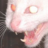 Avatar for x100nt0