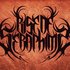 Avatar for Rise of Seraphims