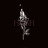 Avatar for HushOfficial