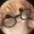 Avatar for enviouslyenby