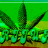 Avatar for LordOfGanja