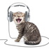 Avatar di scotti_it