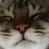Avatar for ttqueen0523