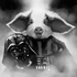 Avatar for vaderspetpig